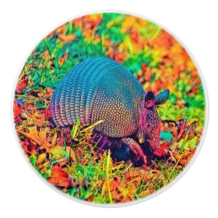 Bouton De Porte En Céramique AnimalColor_Armadillo_001