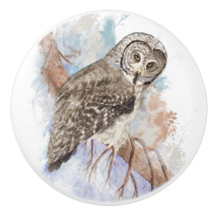 Bouton De Porte En Céramique Aquarelle Grande Chouette gris Oiseau Nature Art