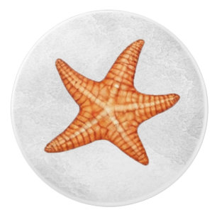 Bouton De Porte En Céramique Aquarelle moderne Plage côtière Starfish Seashs