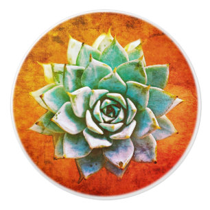 Bouton De Porte En Céramique Aquarelle Succulente sur la céramique rouille oran