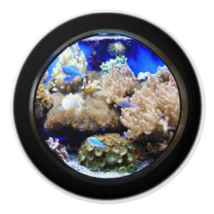 Bouton De Porte En Céramique Aquarium Poissons tropicaux et coraux