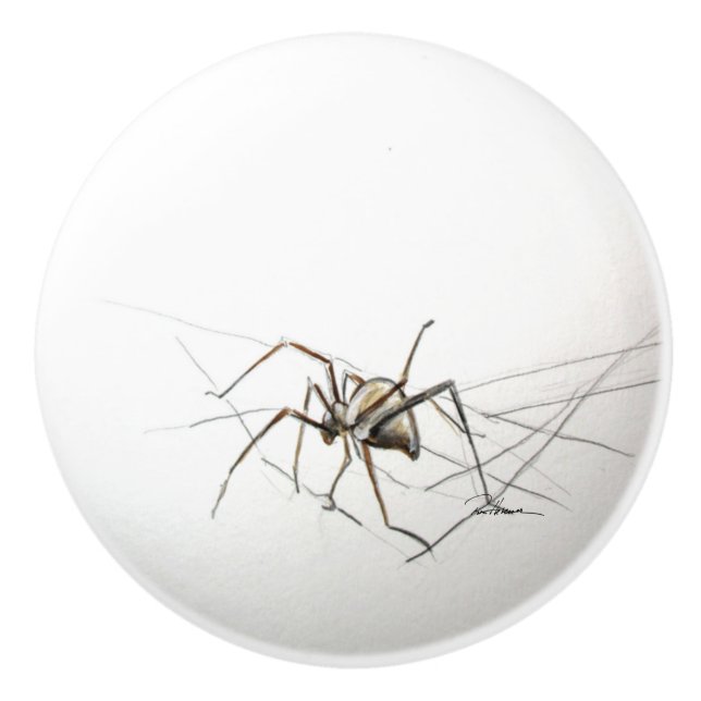 Bouton De Porte En Céramique Araignée (Devant)