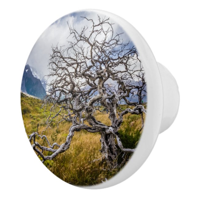 Bouton De Porte En Céramique Arbre brûlé, Torres del Paine, Chili (Droite)