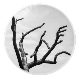 Bouton De Porte En Céramique arbre libre