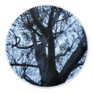 Bouton De Porte En Céramique Arbre Silhouette photo Ceramic Knob