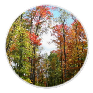 Bouton De Porte En Céramique Arbres d'automne et ciel bleu Photographie de la n