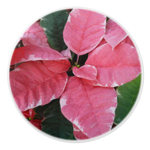 Bouton De Porte En Céramique Argent Star Marbre Poinsettias Pink Holiday Floral