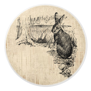Bouton De Porte En Céramique Art lapin vintage illustré