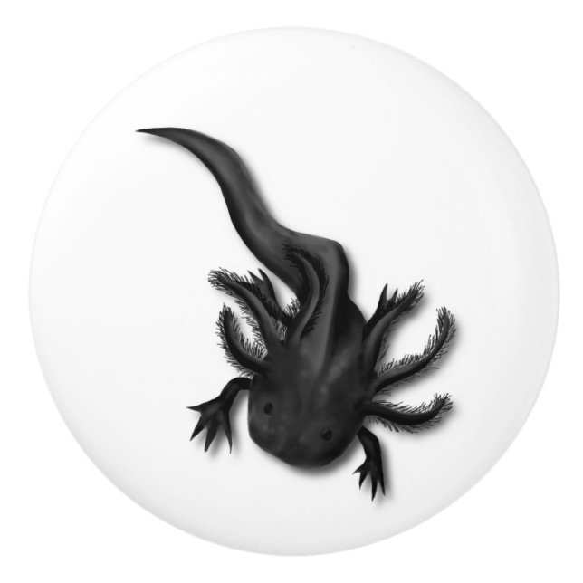 Bouton De Porte En Céramique Art Melanoïde Axolotl (Devant)