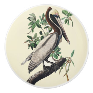 Bouton De Porte En Céramique Art Vintage Audubon Pélican Brun Oiseau de Rivage