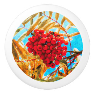 Bouton De Porte En Céramique Ashberry artistique