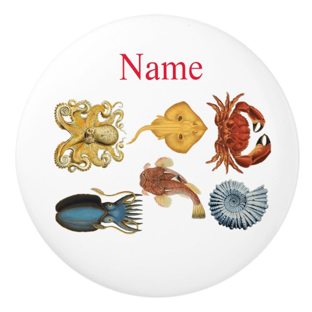 Bouton De Porte En Céramique Association d'apaces de mer uniques Thunder_Cove (Devant)