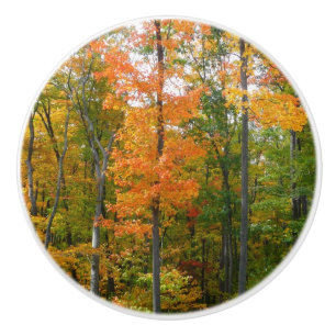 Bouton De Porte En Céramique Automne Maple Trees Automne Photographie de la nat