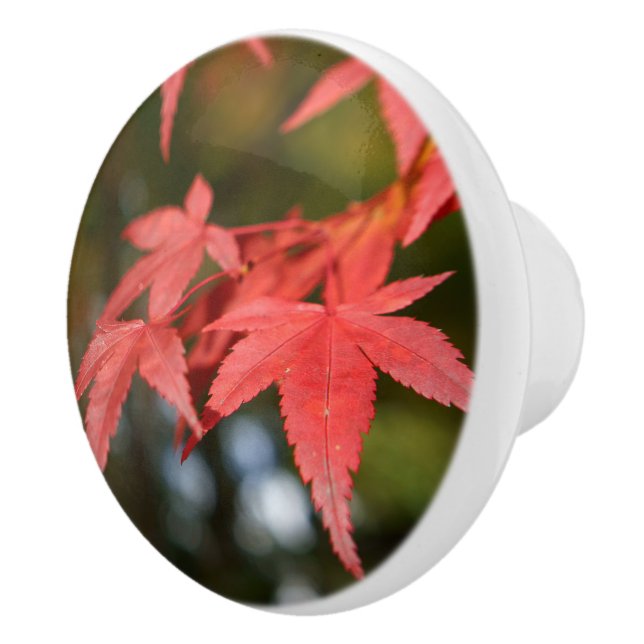 Bouton De Porte En Céramique Autumn Leaves Ceramic Knob (Droite)