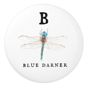 Bouton De Porte En Céramique "B" Bleu Darner