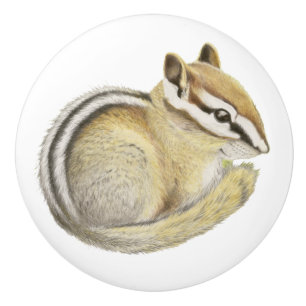 Bouton De Porte En Céramique Baby Chipmunk