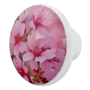 Bouton De Porte En Céramique Baigné dans les fleurs de cerisier japonaises rose