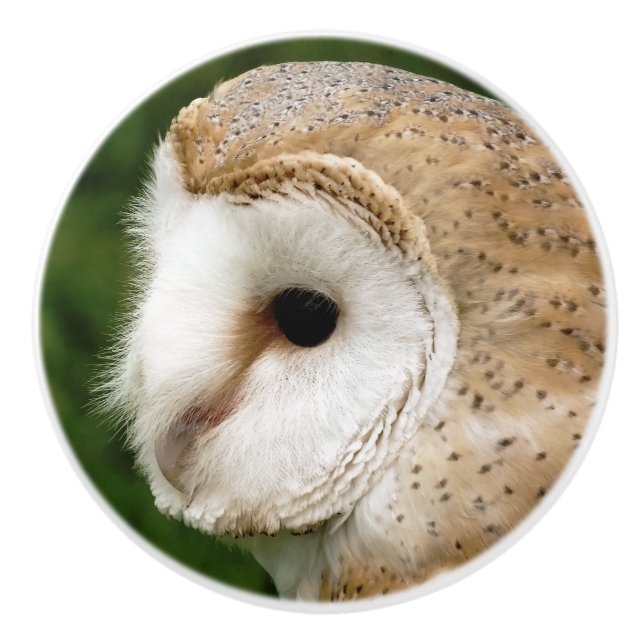 BOUTON DE PORTE EN CÉRAMIQUE BARN OWLS (Devant)