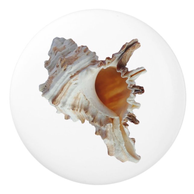 Bouton De Porte En Céramique Beach Seashell Ocean Shell (Devant)