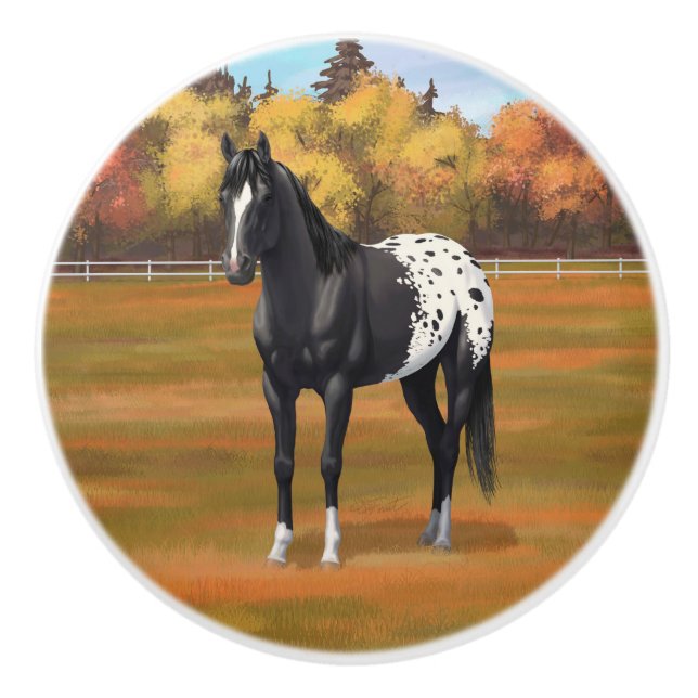 Bouton De Porte En Céramique Beau Appaloosa Noir Quarter Horse Stallion (Devant)