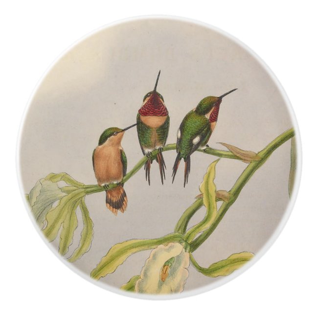 Bouton De Porte En Céramique beaux colibris (Devant)