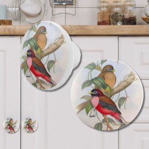 Bouton De Porte En Céramique Beaux oiseaux Vintages Ferme moderne