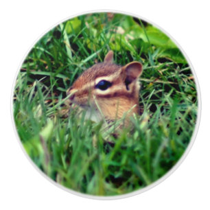 Bouton De Porte En Céramique Bébé mignon Chipmunk Peeking Faune