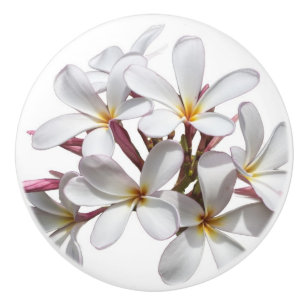 Bouton De Porte En Céramique Belle fleur blanche de Plumeria ou de Frangipani