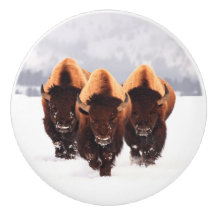 Bison en céramique de trois bisons