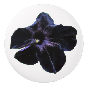 Bouton De Porte En Céramique Black Petunia Ceramic Knob