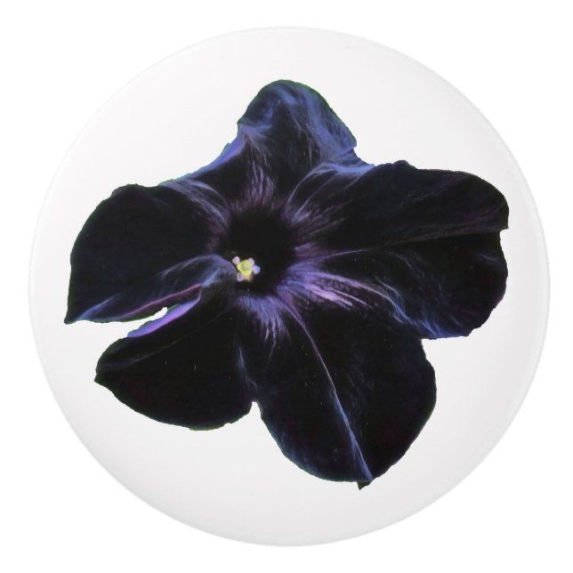 Bouton De Porte En Céramique Black Petunia Ceramic Knob (Devant)