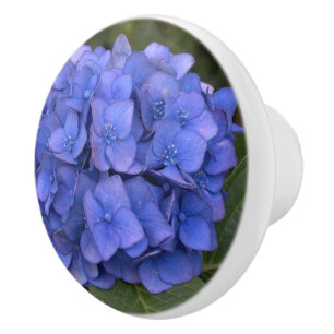 Bouton De Porte En Céramique Blue Hydrangea Laurel Floral