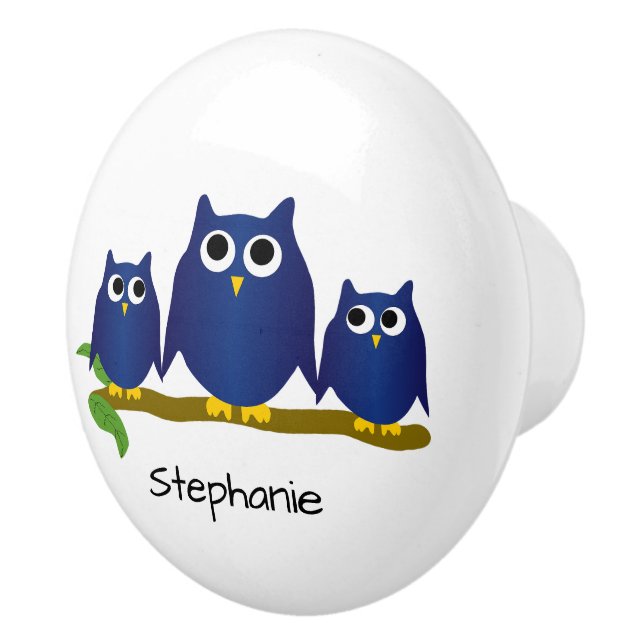 Bouton De Porte En Céramique Blue Owl Design Personalised (Droite)