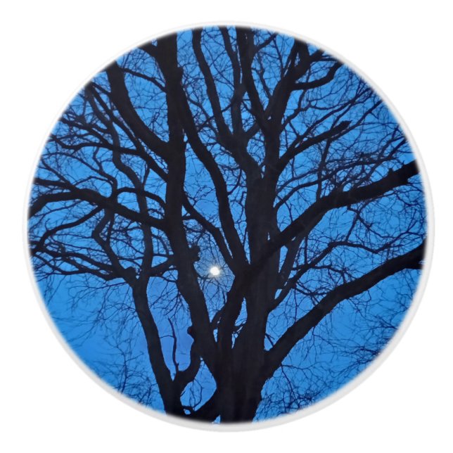 Bouton De Porte En Céramique Blue Sky Night Tree  (Devant)