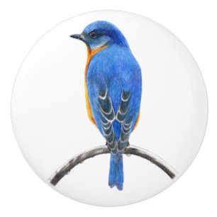 Bouton De Porte En Céramique Bluebird