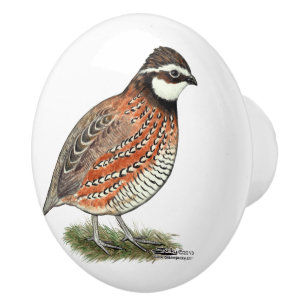 Bouton De Porte En Céramique Bobwhite Quail Rooster