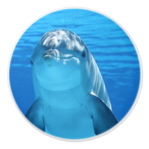 Bouton De Porte En Céramique Bottlenose Dolphin regarde la caméra sous l'eau