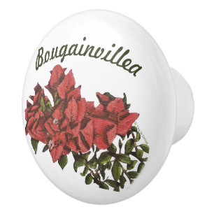 Bouton De Porte En Céramique Bougainvillea Ceramic Knob