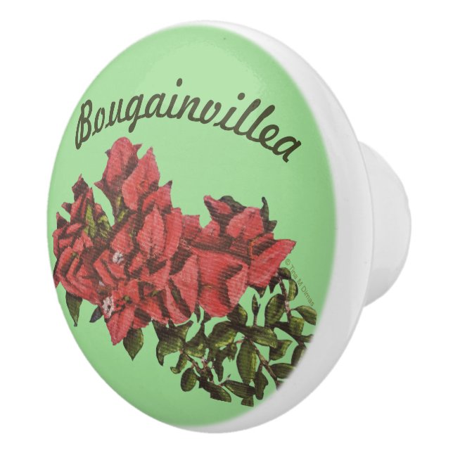 Bouton De Porte En Céramique Bougainvillea Ceramic Knob (Droite)