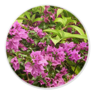 Bouton De Porte En Céramique Bougainvillées tropicales violettes