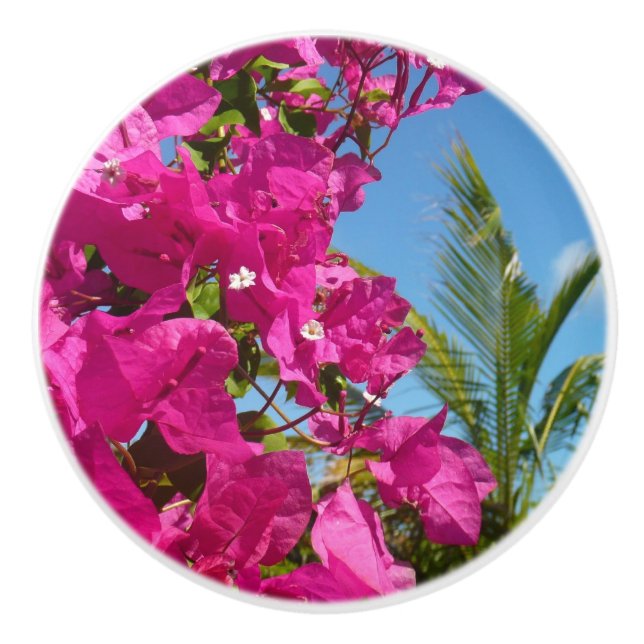 Bouton De Porte En Céramique Bougainvilliers et palmiers paysage tropical (Devant)