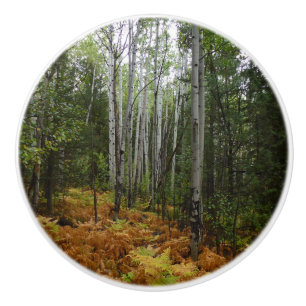 Bouton De Porte En Céramique Bouleaux blancs et fougères d'automne aux montagne
