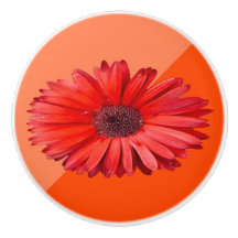 Bouton de meuble en céramique Orange Daisy Colorbl