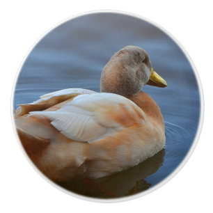 Bouton De Porte En Céramique Bouton en céramique de canard