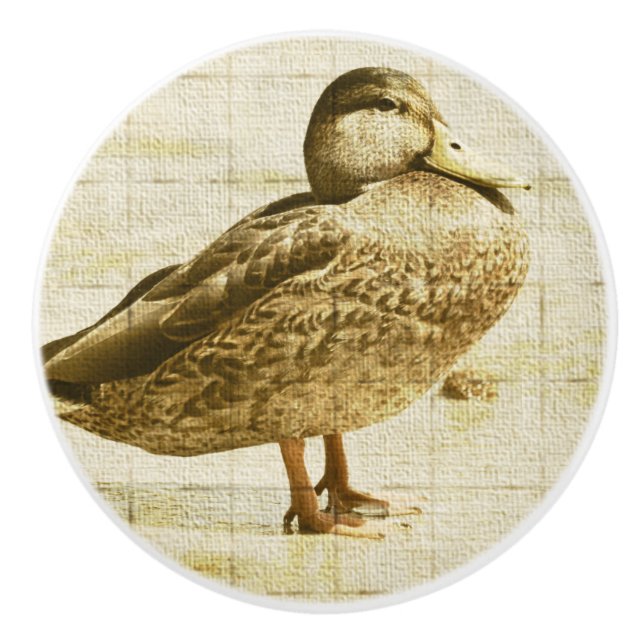 Bouton De Porte En Céramique Bouton en céramique de canard (Devant)