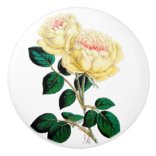 Bouton De Porte En Céramique Bouton en céramique de fleur de rose jaune