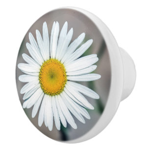 Bouton De Porte En Céramique Bouton en céramique de fleur simple de marguerite