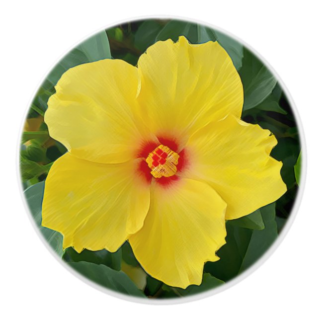 Bouton De Porte En Céramique Bouton en céramique de l'Hibiscus jaune (Devant)