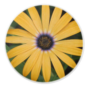 Bouton De Porte En Céramique Bouton en céramique de marguerite jaune