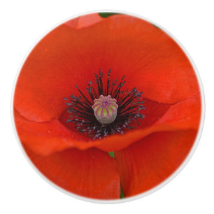 Bouton De Porte En Céramique Bouton en céramique de pavot